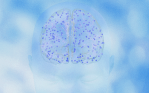Desarrollo de la función cognitiva del bebé