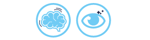 Desarrollo cerebral y visual